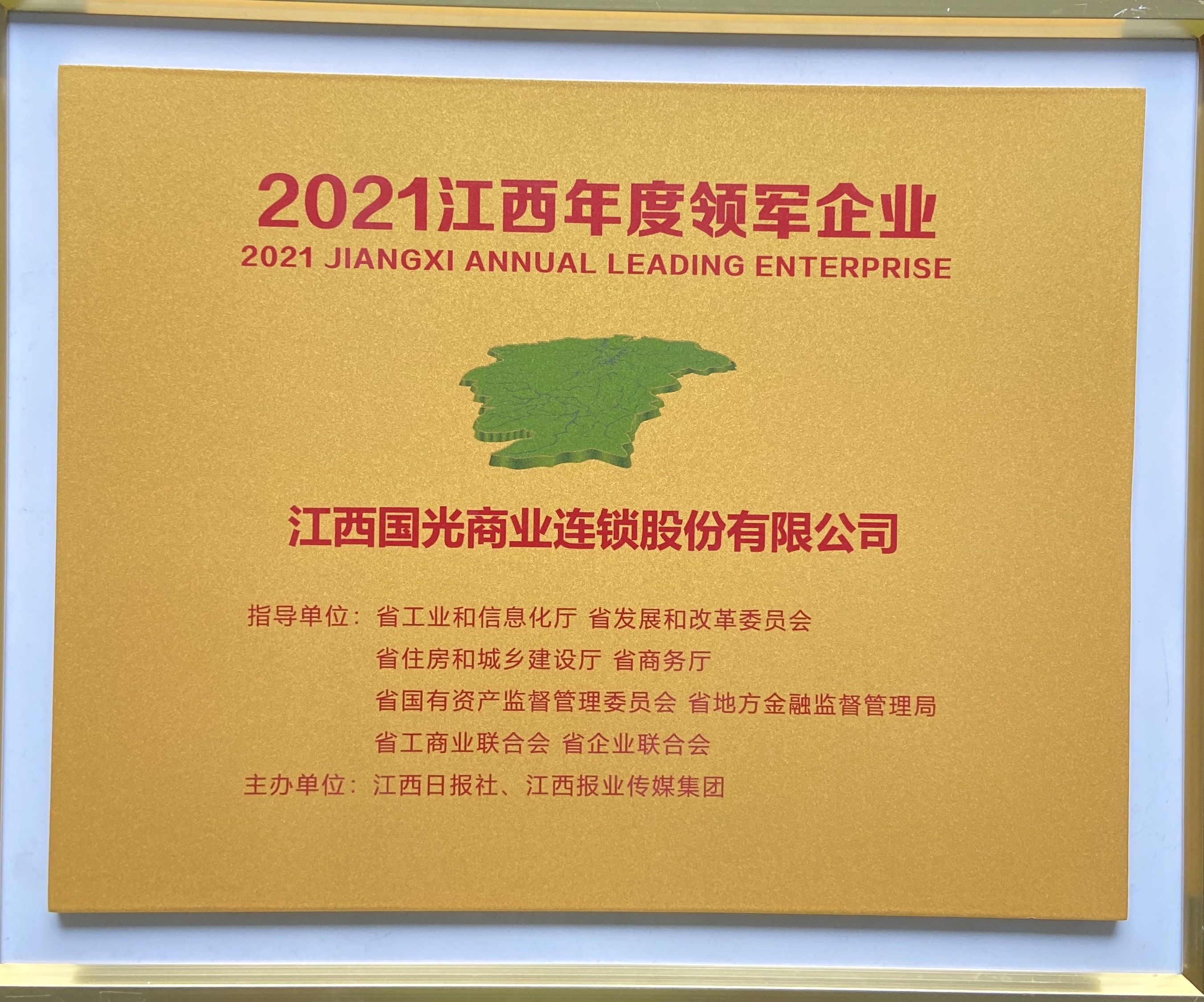 江西年度领军企业奖牌